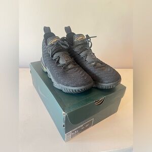 Nike LeBron James XVI Shoes